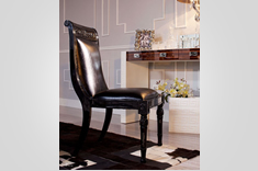 ../Static/UpFile/Furniture/LingHangShiJia/2012/RestaurantRoom/餐椅FQ_36_C_235x156.jpg 图片