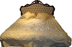 ../Static/UpFile/Furniture/SenHai/BedRoom/床TF0101_235x156.jpg 图片