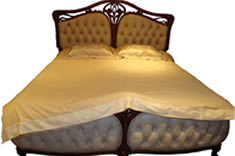 ../Static/UpFile/Furniture/SenHai/BedRoom/床TF0102_235x156.jpg 图片