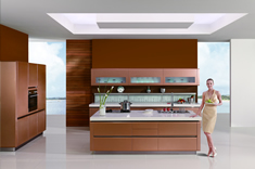 ../Static/UpFile/Materials/Cupboard/PaintMetal_Chanel/香奈儿_235x156.jpg 图片