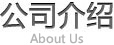 公司介绍