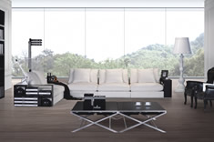 客厅沙发（波斯猫）