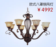 羽毛玻璃罩吸顶灯