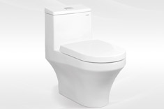 连体蹲便器
