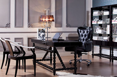 ../Static/UpFile/Furniture/LingHangShiJia/2012/StudyRoom/装饰柜FQ_17_D书椅_FQ_36_M_235x156.jpg 图片